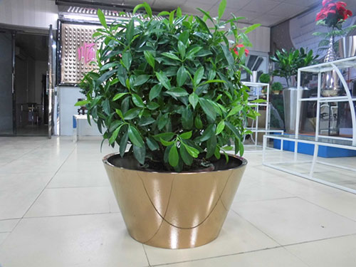 廣東汕頭不銹鋼花盆哪家做的好？